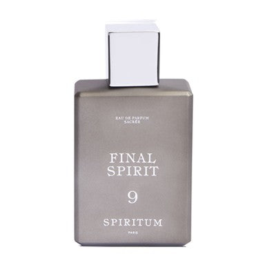 9 │Final Spirit