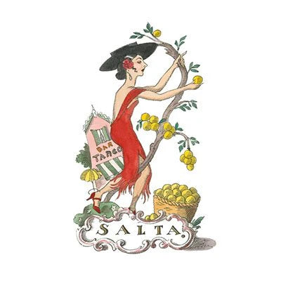 Vaporisateur Salta